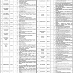 Sheikh Mohammed Bin Zayed Al Nahyan Institute of Cardiology Quetta Jobs 2026