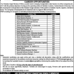 Pakistan Single Window Jobs March 2026 Apply Online