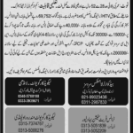 National Logistics Corporation Latest Jobs 2026